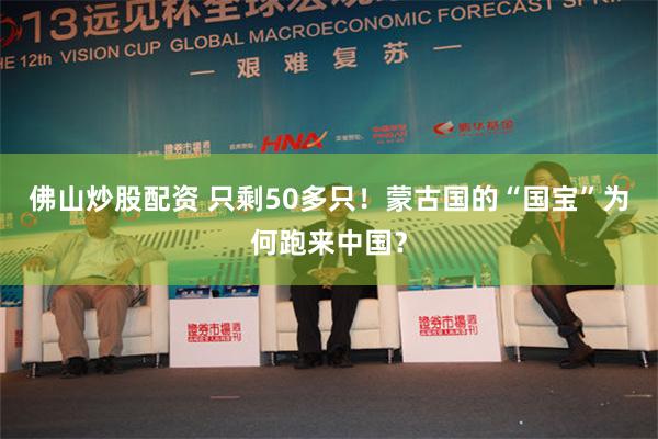 佛山炒股配资 只剩50多只！蒙古国的“国宝”为何跑来中国？