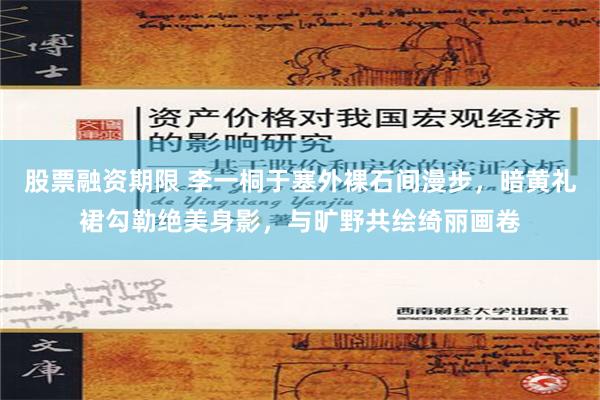 股票融资期限 李一桐于塞外裸石间漫步，暗黄礼裙勾勒绝美身影，与旷野共绘绮丽画卷