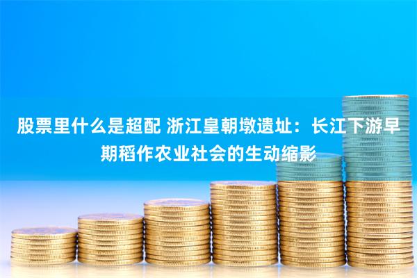 股票里什么是超配 浙江皇朝墩遗址：长江下游早期稻作农业社会的生动缩影
