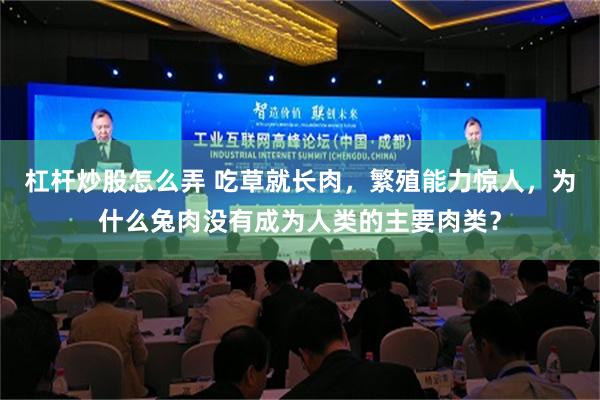 杠杆炒股怎么弄 吃草就长肉，繁殖能力惊人，为什么兔肉没有成为人类的主要肉类？