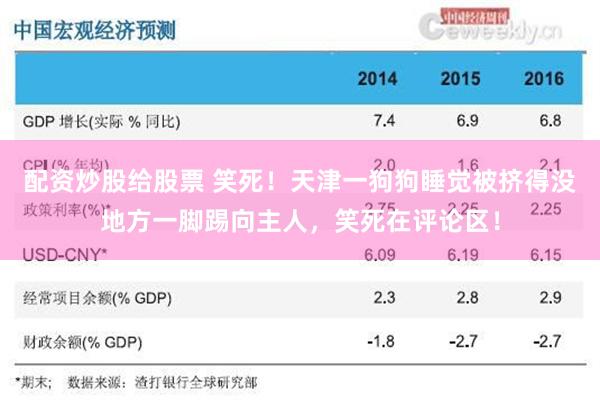 配资炒股给股票 笑死!天津一狗狗睡觉被挤得没地方一脚踢向主人,笑死在评论区!