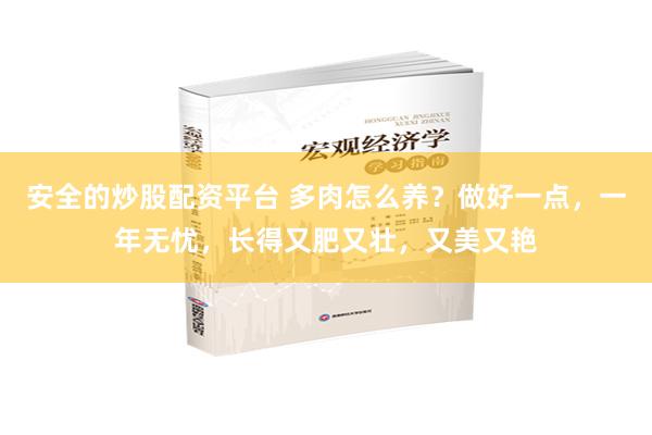 安全的炒股配资平台 多肉怎么养？做好一点，一年无忧，长得又肥又壮，又美又艳
