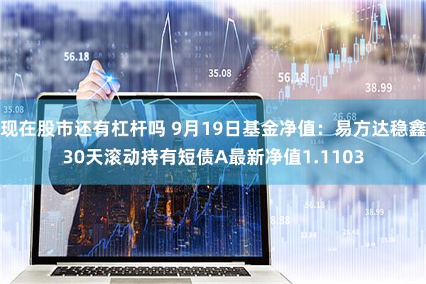 现在股市还有杠杆吗 9月19日基金净值：易方达稳鑫30天滚动持有短债A最新净值1.1103