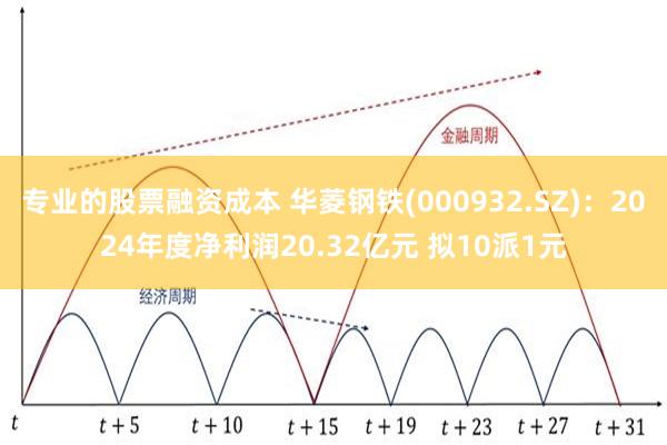 专业的股票融资成本 华菱钢铁(000932.SZ)：2024年度净利润20.32亿元 拟10派1元