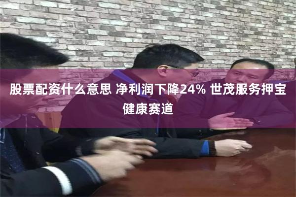 股票配资什么意思 净利润下降24% 世茂服务押宝健康赛道