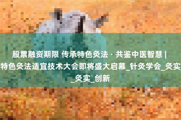 股票融资期限 传承特色灸法 · 共鉴中医智慧 | 2025特色灸法适宜技术大会即将盛大启幕_针灸学会_灸实_创新