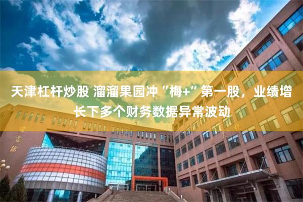 天津杠杆炒股 溜溜果园冲“梅+”第一股，业绩增长下多个财务数据异常波动