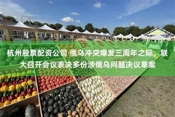 杭州股票配资公司 俄乌冲突爆发三周年之际，联大召开会议表决多份涉俄乌问题决议草案
