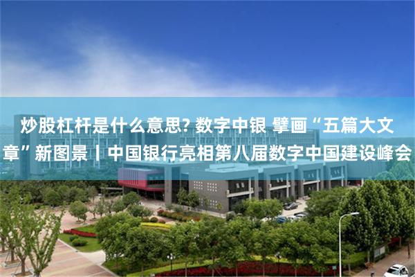 炒股杠杆是什么意思? 数字中银 擘画“五篇大文章”新图景丨中国银行亮相第八届数字中国建设峰会