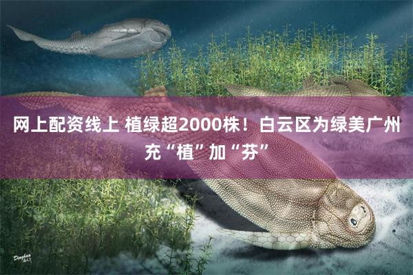 网上配资线上 植绿超2000株！白云区为绿美广州充“植”加“芬”