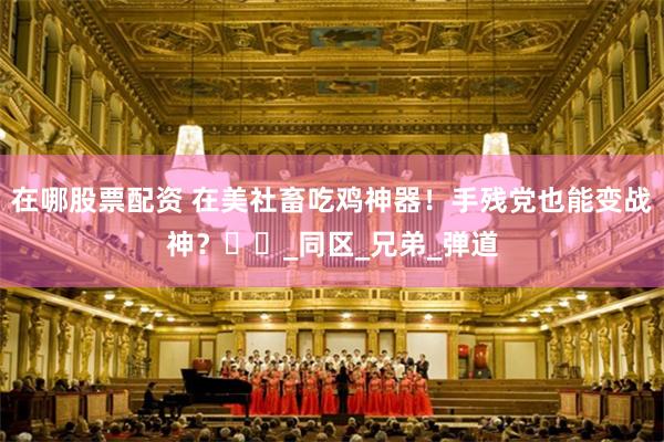 在哪股票配资 在美社畜吃鸡神器！手残党也能变战神？​​_同区_兄弟_弹道