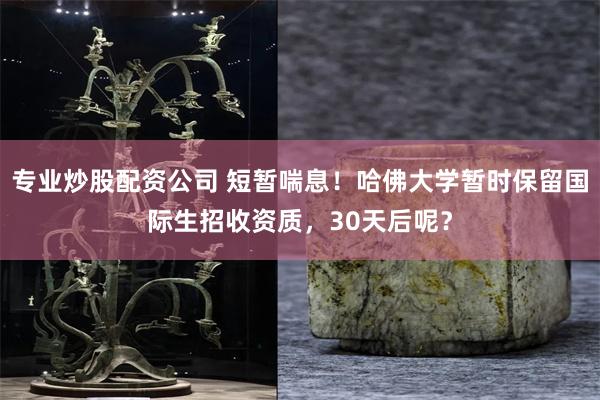 专业炒股配资公司 短暂喘息！哈佛大学暂时保留国际生招收资质，30天后呢？