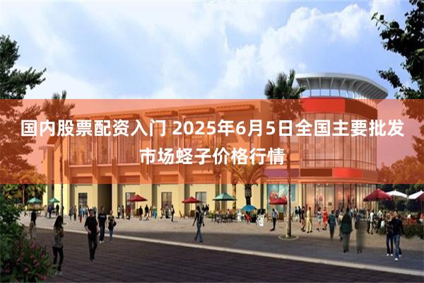 国内股票配资入门 2025年6月5日全国主要批发市场蛏子价格行情