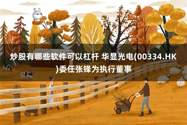 炒股有哪些软件可以杠杆 华显光电(00334.HK)委任张锋为执行董事