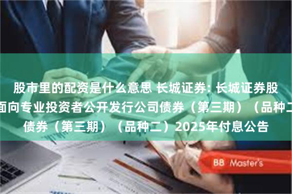 股市里的配资是什么意思 长城证券: 长城证券股份有限公司2024年面向专业投资者公开发行公司债券(第三期)(品种二)2025年付息公告