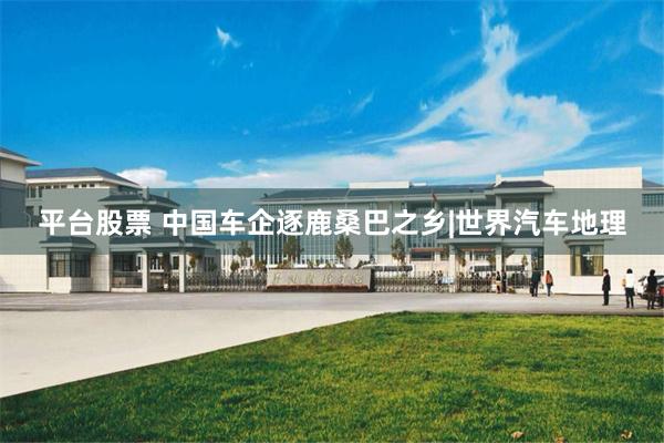 平台股票 中国车企逐鹿桑巴之乡|世界汽车地理