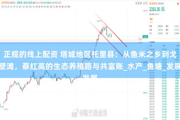 正规的线上配资 塔城地区托里县：从鱼米之乡到戈壁滩，蔡红高的生态养殖路与共富账_水产_鱼塘_发展
