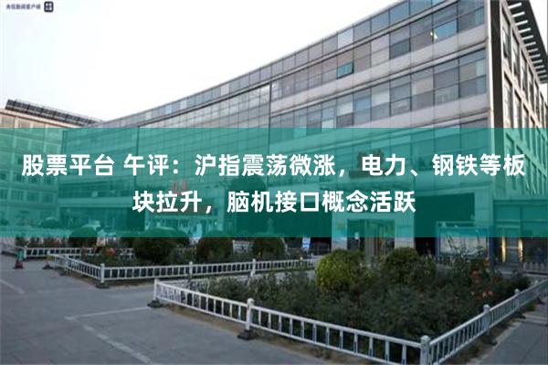 股票平台 午评：沪指震荡微涨，电力、钢铁等板块拉升，脑机接口概念活跃