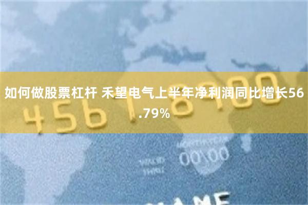 如何做股票杠杆 禾望电气上半年净利润同比增长56.79%