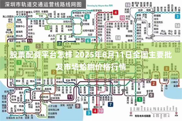 股票配资平台怎样 2025年8月11日全国主要批发市场蛤蜊价格行情