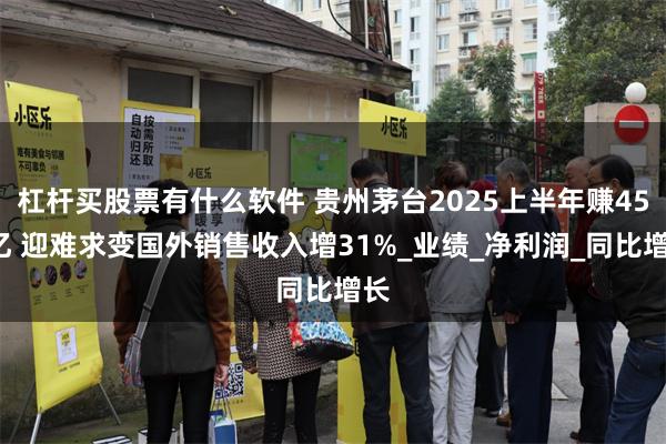 杠杆买股票有什么软件 贵州茅台2025上半年赚454亿 迎难求变国外销售收入增31%_业绩_净利润_同比增长