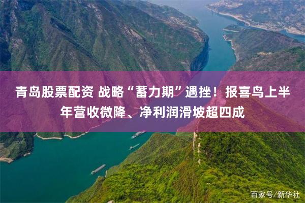 青岛股票配资 战略“蓄力期”遇挫！报喜鸟上半年营收微降、净利润滑坡超四成