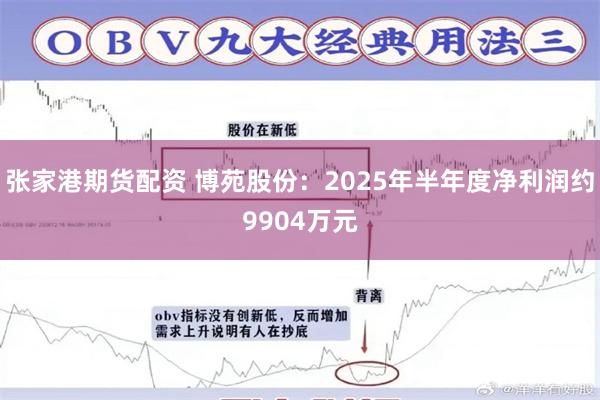 张家港期货配资 博苑股份：2025年半年度净利润约9904万元
