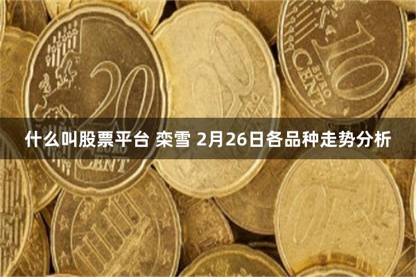 什么叫股票平台 栾雪 2月26日各品种走势分析