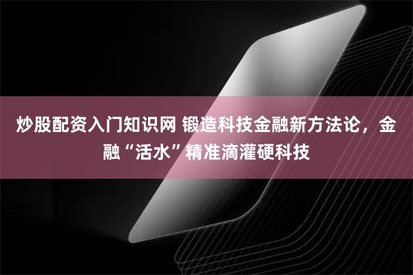 炒股配资入门知识网 锻造科技金融新方法论,金融“活水”精准滴灌硬科技