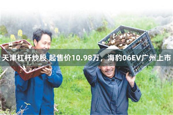 天津杠杆炒股 起售价10.98万，海豹06EV广州上市