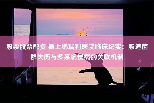 股票股票配资 循上鹏瑞利医院临床纪实：肠道菌群失衡与多系统慢病的关联机制