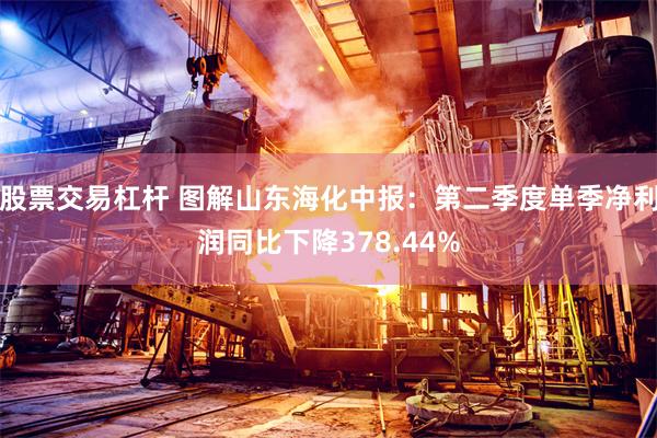 股票交易杠杆 图解山东海化中报：第二季度单季净利润同比下降378.44%