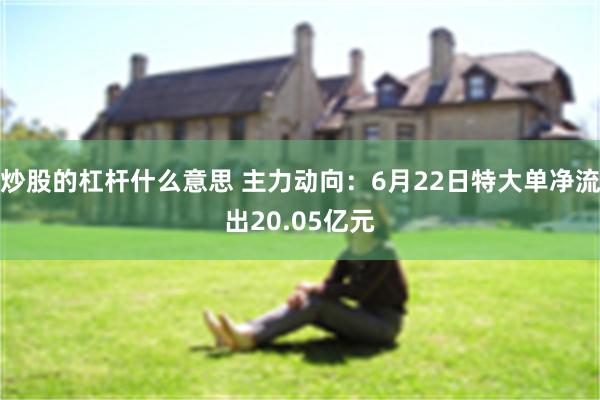 炒股的杠杆什么意思 主力动向：6月22日特大单净流出20.05亿元