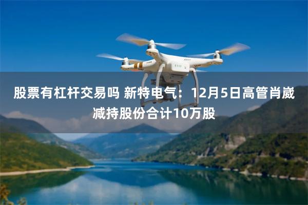 股票有杠杆交易吗 新特电气：12月5日高管肖崴减持股份合计10万股