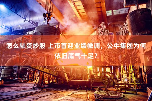 怎么融资炒股 上市首迎业绩微调，公牛集团为何依旧底气十足？