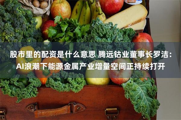 股市里的配资是什么意思 腾远钴业董事长罗洁：AI浪潮下能源金属产业增量空间正持续打开
