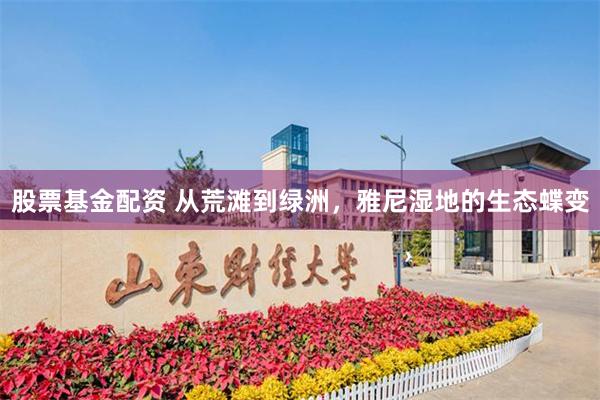 股票基金配资 从荒滩到绿洲，雅尼湿地的生态蝶变
