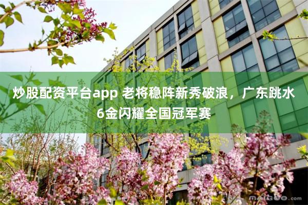 炒股配资平台app 老将稳阵新秀破浪，广东跳水6金闪耀全国冠军赛