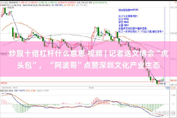 炒股十倍杠杆什么意思 视频 | 记者送文博会“虎头包”， “阿波哥”点赞深圳文化产业生态