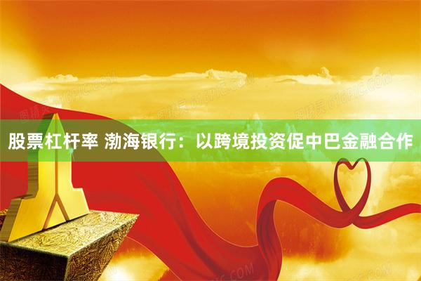 股票杠杆率 渤海银行:以跨境投资促中巴金融合作