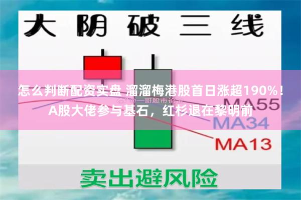 怎么判断配资实盘 溜溜梅港股首日涨超190%！A股大佬参与基石，红杉退在黎明前