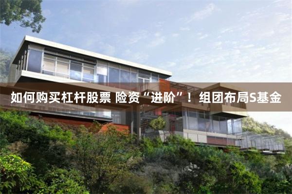 如何购买杠杆股票 险资“进阶”!组团布局S基金