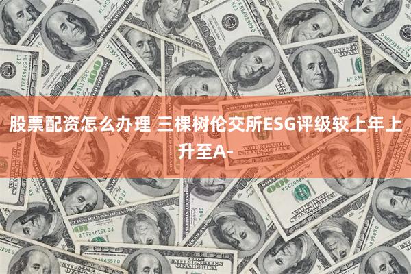 股票配资怎么办理 三棵树伦交所ESG评级较上年上升至A-