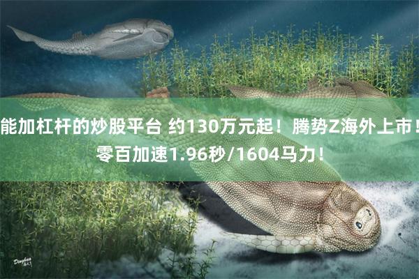 能加杠杆的炒股平台 约130万元起！腾势Z海外上市！零百加速1.96秒/1604马力！