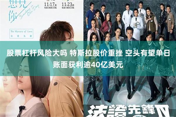 股票杠杆风险大吗 特斯拉股价重挫 空头有望单日账面获利逾40亿美元