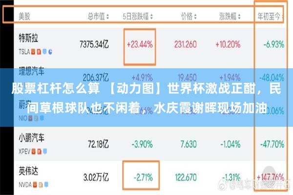 股票杠杆怎么算 【动力图】世界杯激战正酣，民间草根球队也不闲着，水庆霞谢晖现场加油