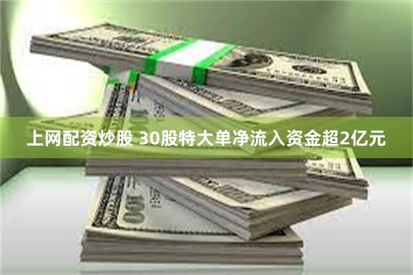 上网配资炒股 30股特大单净流入资金超2亿元