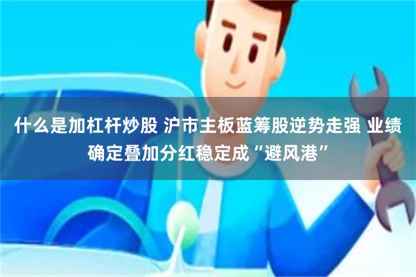 什么是加杠杆炒股 沪市主板蓝筹股逆势走强 业绩确定叠加分红稳定成“避风港”