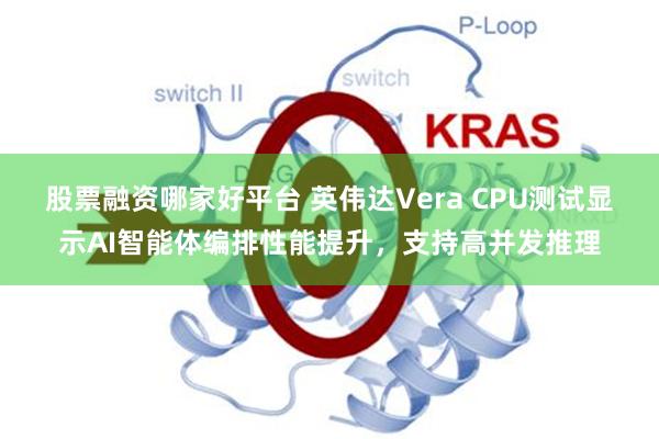 股票融资哪家好平台 英伟达Vera CPU测试显示AI智能体编排性能提升,支持高并发推理