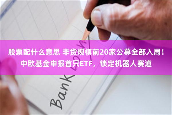 股票配什么意思 非货规模前20家公募全部入局！中欧基金申报首只ETF，锁定机器人赛道
